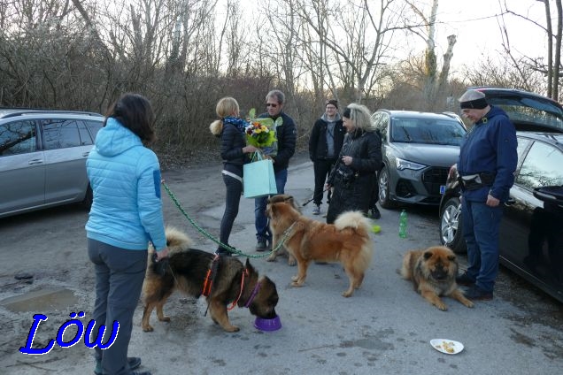 12.2.2022 - Blumen für die D-Wurf Mama Claudia